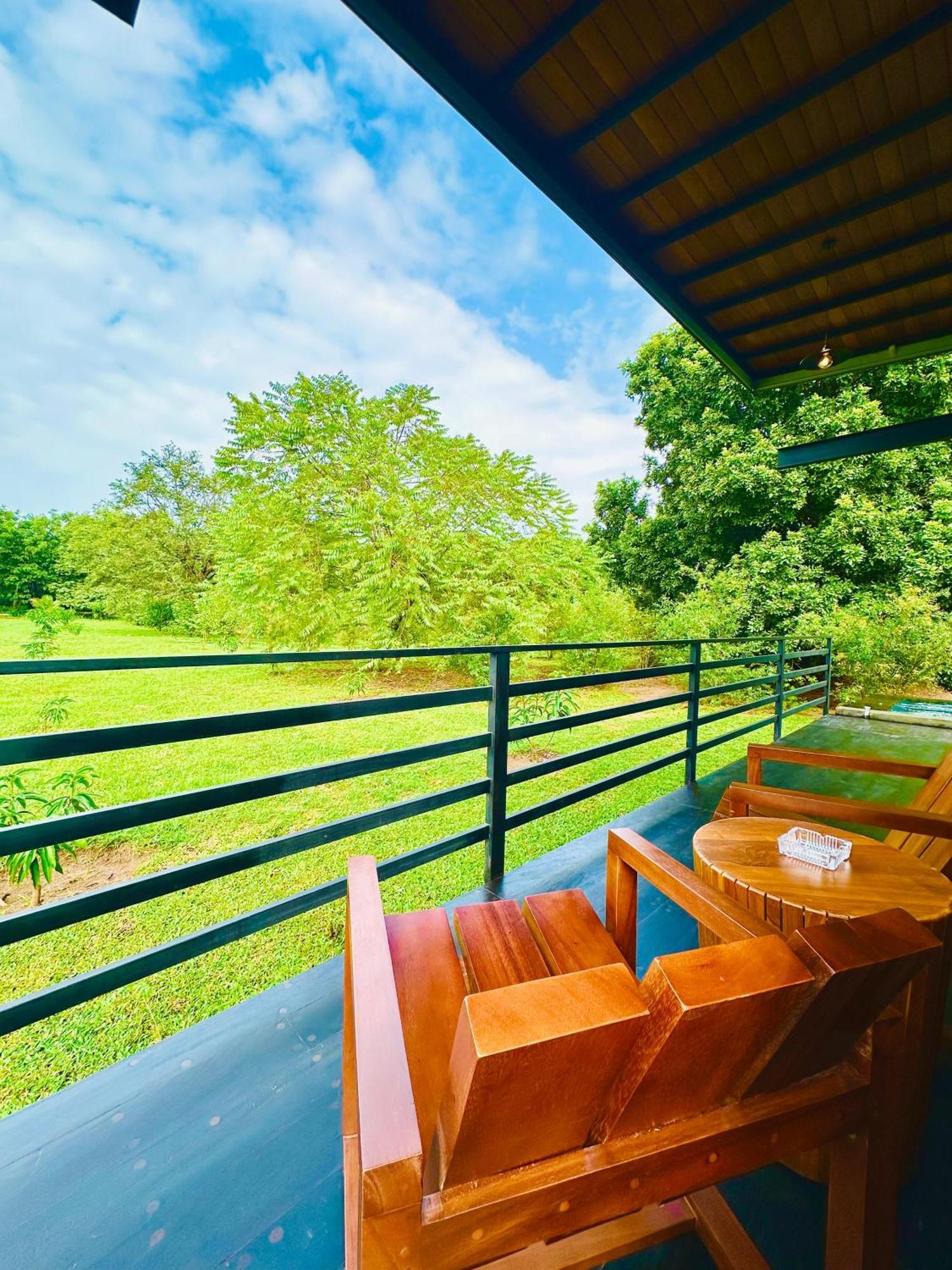 Atha Resort Sigiriya Exterior foto The view from the balcony of the hotel