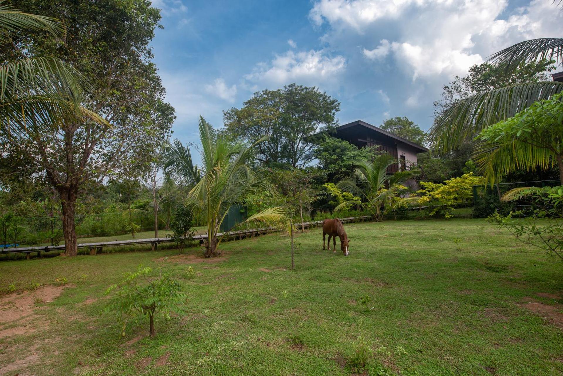 Atha Resort Sigiriya Exterior foto